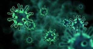 h1n1
