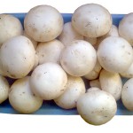 Sağlık